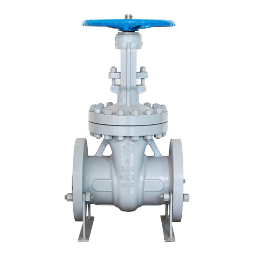 ANSI GATE VALVES