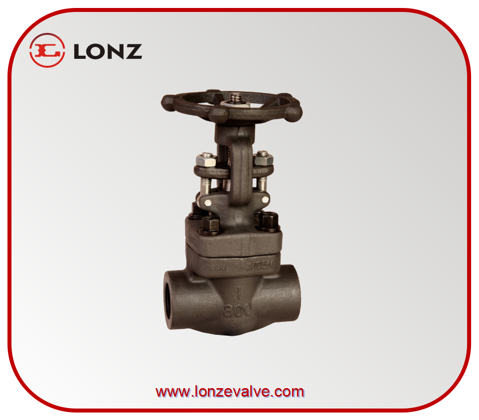 FORGED GATE VALVE BB OSY A105 800LB